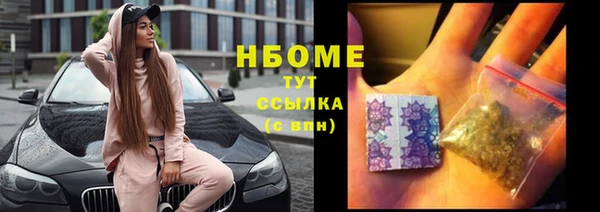 индика Вяземский