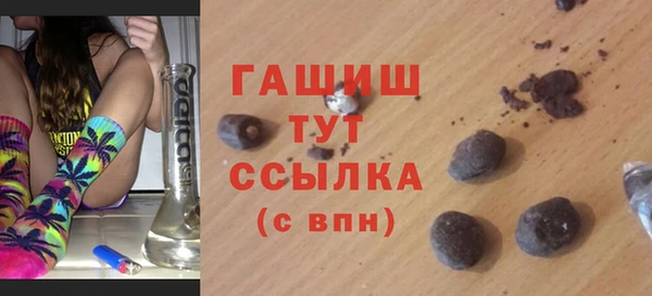 индика Вяземский