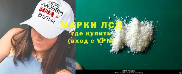 индика Вяземский