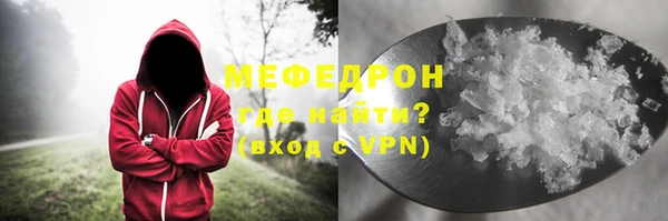 индика Вяземский