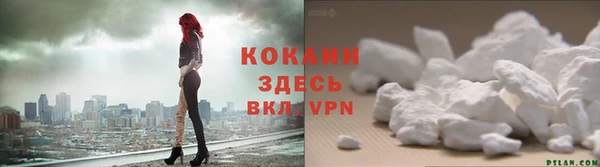 индика Вяземский
