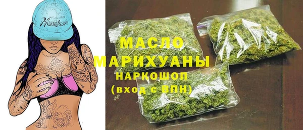 индика Вяземский