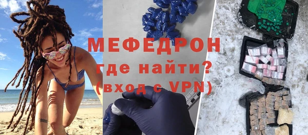 индика Вяземский