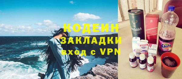 индика Вяземский