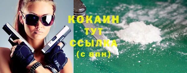 индика Вяземский
