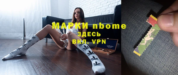 индика Вяземский