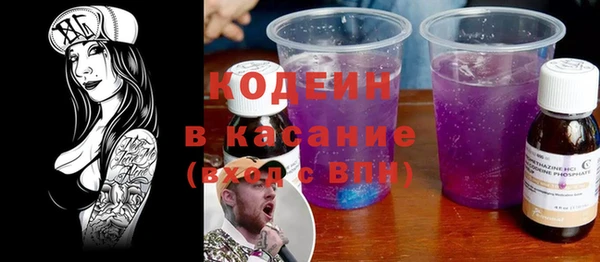 индика Вяземский