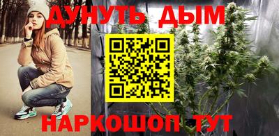 крисы Аргун