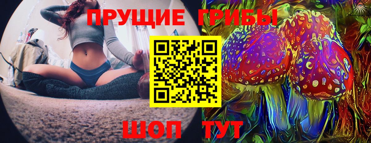 Псилоцибиновые грибы Cubensis  что такое наркотик  Дивногорск 