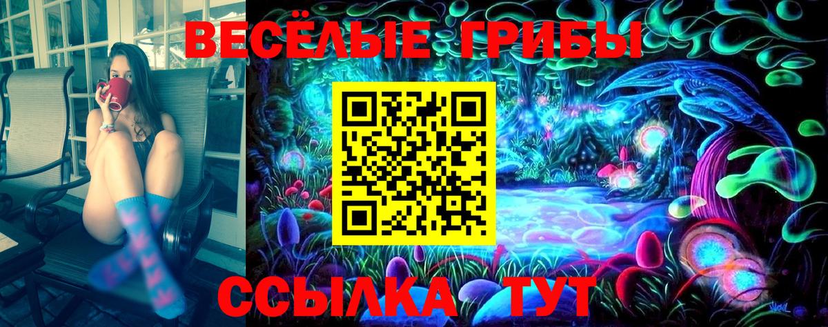 Галлюциногенные грибы Magic Shrooms Дивногорск
