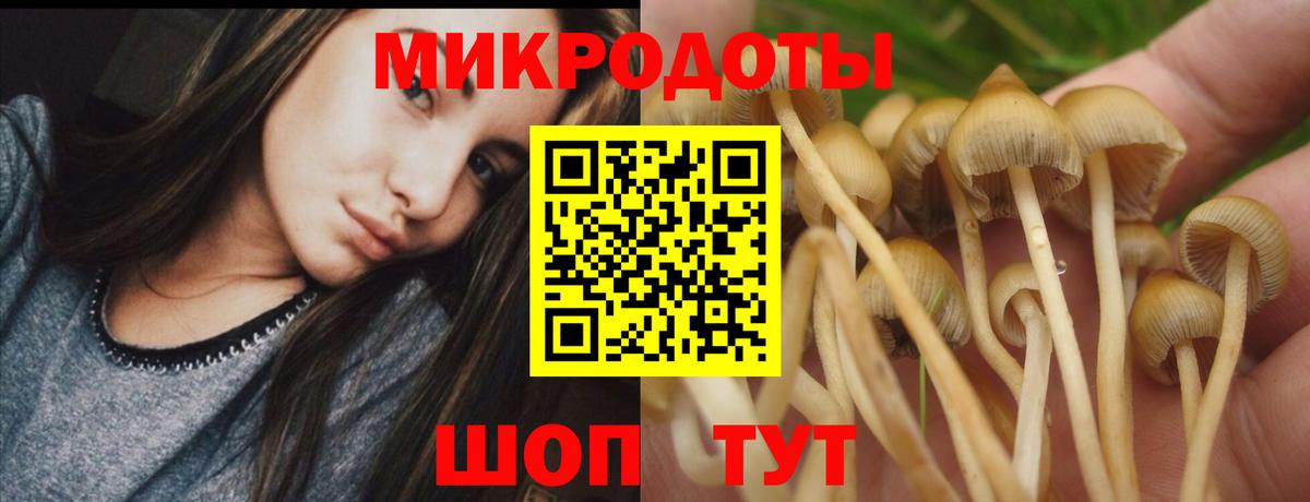 Дивногорск  Галлюциногенные грибы Psilocybe  Вход с VPN  Псилоцибиновые грибы прущие грибы 